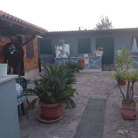 Aquila Di Mare Villa Fiumicino Oda fotoğraf